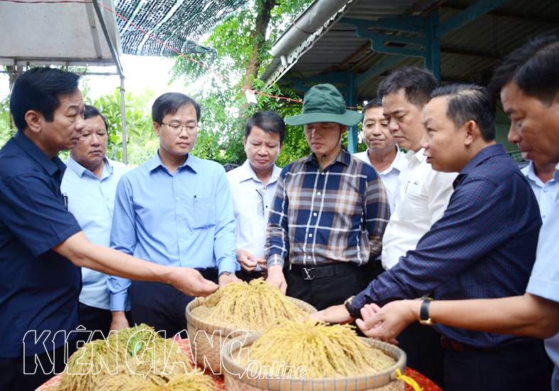 Bí thư Tỉnh ủy Kiên Giang - Đỗ Thanh Bình khảo sát các mô hình sản xuất nông nghiệp